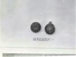 Click for 1 image(s) for this accession. FRUIT